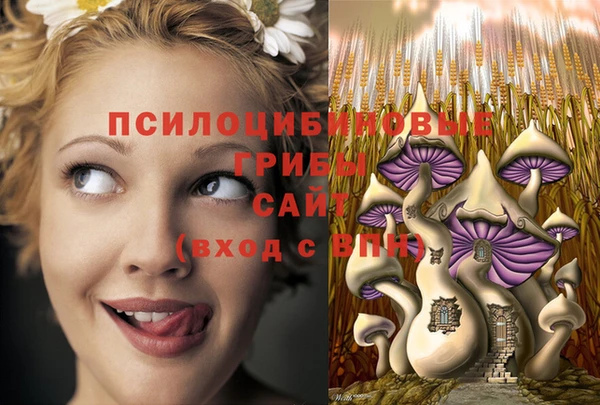 ECSTASY Белокуриха